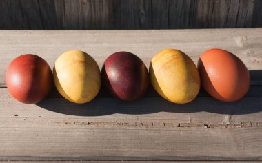 Ahşap kurullarında üzerinde boyalı Paskalya yumurtaları