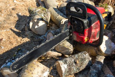 Chainsaw ve Kazıklı taze huş odun