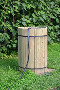 Tahta fıçı, yaz bahçesinde su ve hortum.