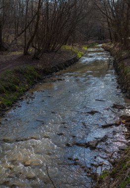 Bahar başlarında Ochakovka Nehri, Batı İdari Bölgesi, Moskova, Rusya
