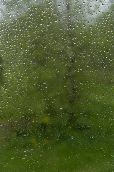 Vue Bouleau Travers Fenêtre Avec Gouttes Pluie — Photo