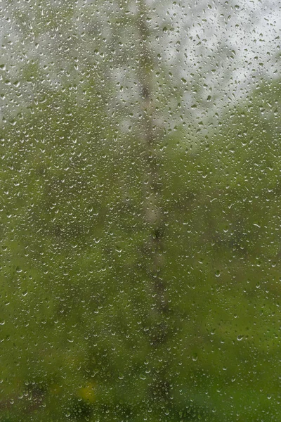 Blick Auf Birke Durch Fenster Mit Regentropfen — Stockfoto