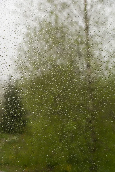 Blick Auf Birke Und Fichte Durch Fenster Mit Regentropfen — Stockfoto