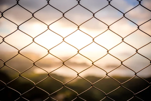 Mesh fence close-up on a blurred background