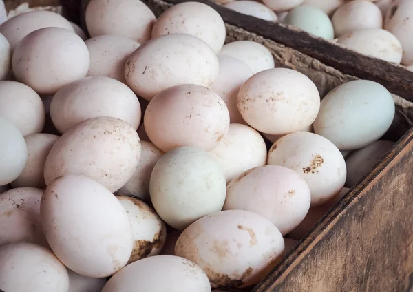Органические утиные яйца — стоковое фото