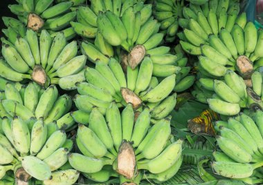 Olgunlaşmış yeşil organik muz demet