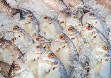 Deniz ürünleri standında buz üzerinde taze balık