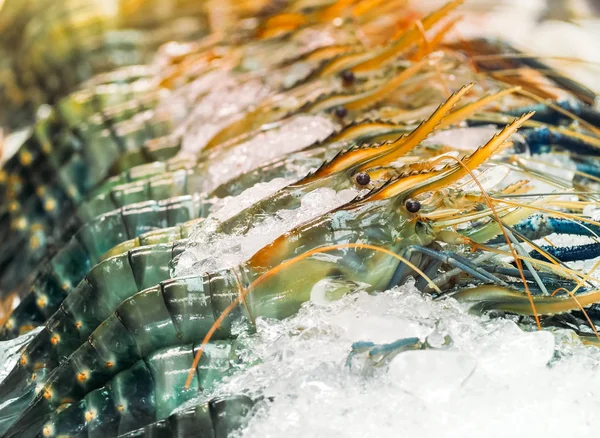 Verse garnalen op ijs in de vismarkt — Stockfoto