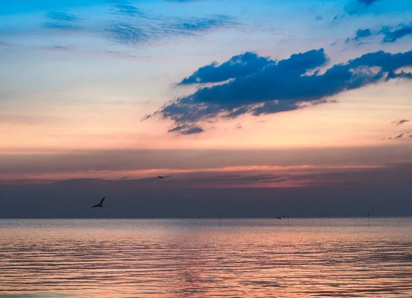 Martılar ile ışığın günbatımı gökyüzü 