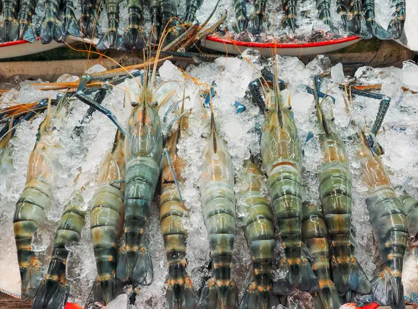 Verse garnalen op ijs in de vismarkt — Stockfoto