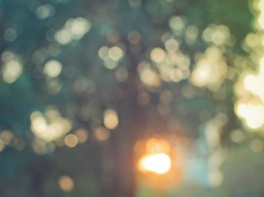 Renkli de odaklı arka plan gölge ağacı güneş ışığı ile bulanıklık