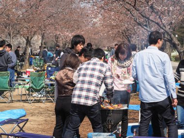 Kiraz çiçekleri Festivali Park zevk Osaka insanlar
