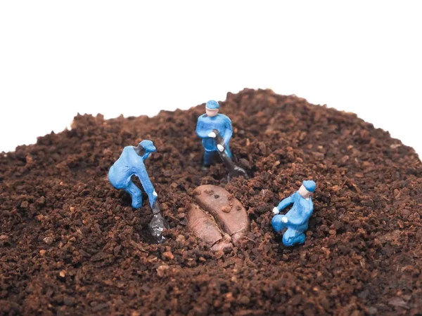 Miniatuur mensen: drie werknemers graven voor koffie zaad — Stockfoto