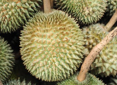 Durian meyve Satılık Çiftlik pazarında