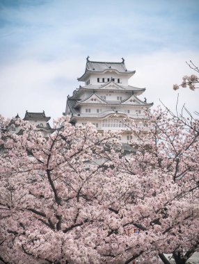 Sakura çiçek sezonunda Himeji Kalesi