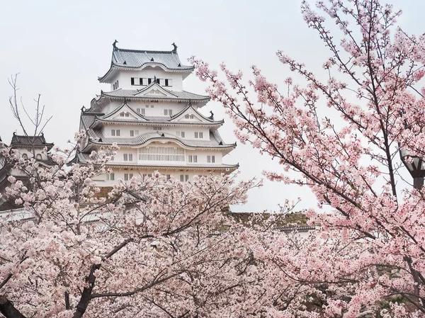 Sakura çiçek sezonunda Himeji Kalesi
