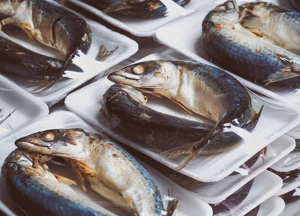 Atum peixe são vendidos em embalagens — Fotografia de Stock