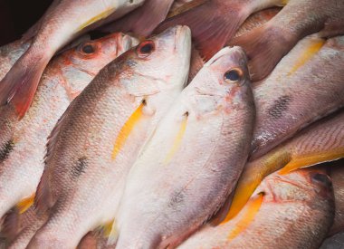 Taze balık deniz ürünleri pazarında Satılık yakın çekim