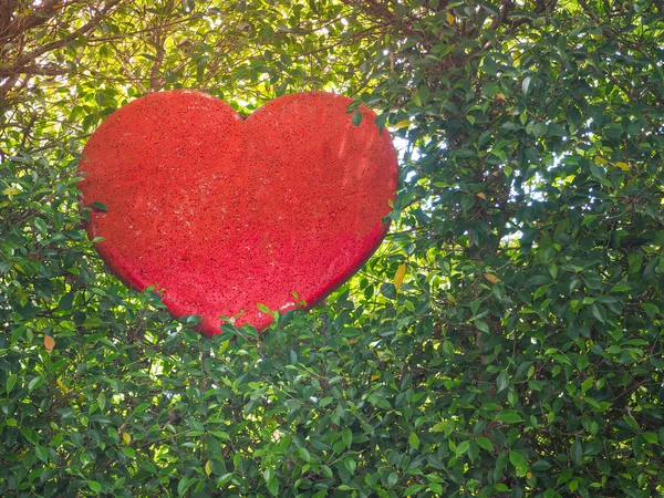 Aşk için kırmızı kalp şeklinde dekorasyon — Stok fotoğraf