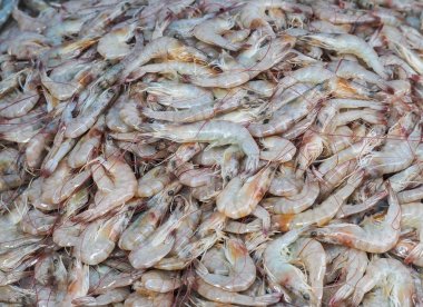 Buz deniz ürünleri pazarında taze karides