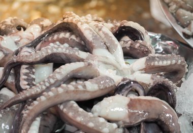 Ahtapot tentacles deniz ürünleri pazarında