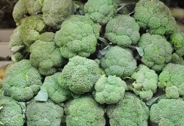 Taze yeşil brokoli grup arka plan