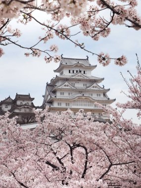 Himeji Kalesi veya Himiji kale Sakura çiçek mevsiminde, Japonya