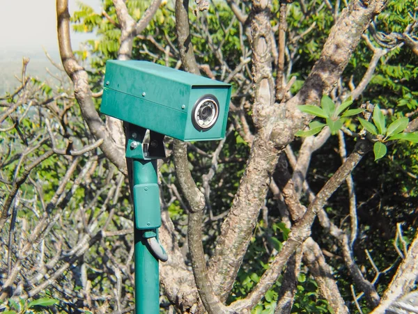 CCTV camera security hidden in the bushes. With place your text