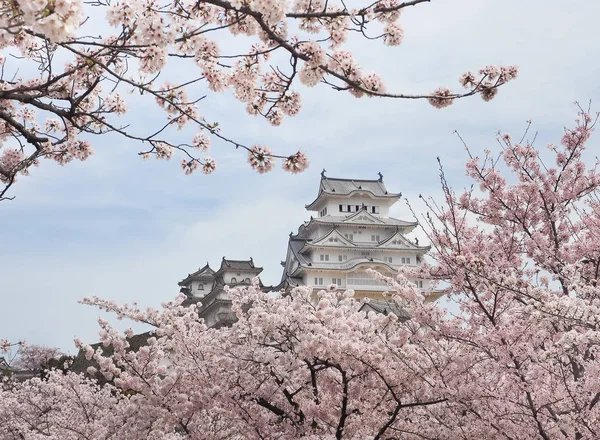 Castillo Himeji Durante Temporada Flores Sakura Japón — Foto de Stock