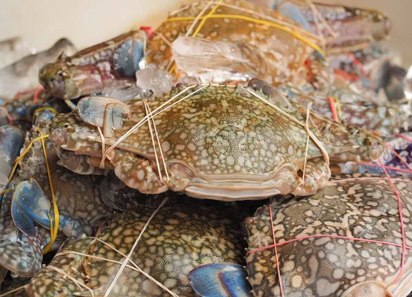 Fresh crabs on ice in seafood market