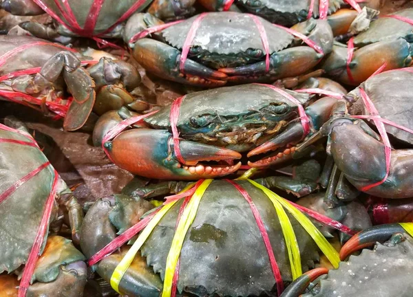 Levande Krabbor Som Säljs Skaldjur Marknader — Stockfoto
