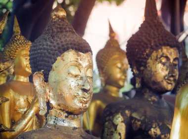 Bangkok, Tayland için Buda heykeli. Genellikle Tayland'da dekore edilmiş Budist her türlü kilise, vb onlar kamu malı Budizm, seçici odak vardır 