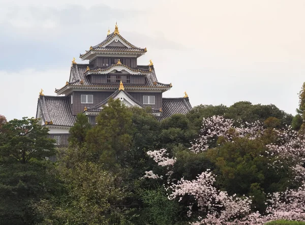 Osaka Japón Abril 2017 Castillo Okayama Crow Cast Durante Temporada — Foto de Stock