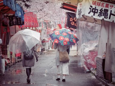 Osaka, Japonya. 11 Nisan, 2017: Cherry Blossom Festivali Osaka nane Bereau (Hanami) yağmurlu bir günde. Osaka nane Bereau kiraz çiçekleri Osaka'da görüntülemek için popüler bir yerdir.