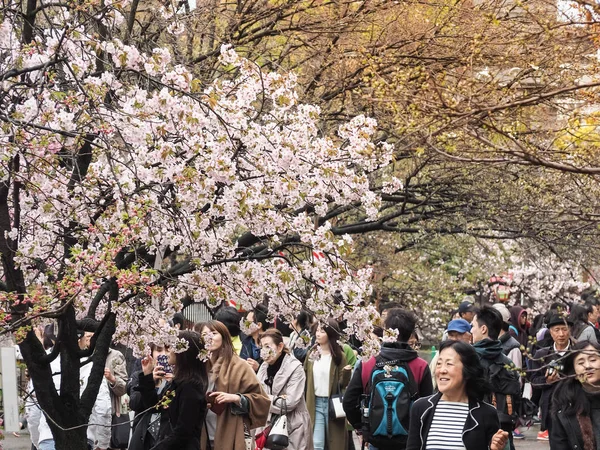 Osaka Japan 11St April 2017 Open Day Festival Cherry Blossoms — Stock Photo, Image