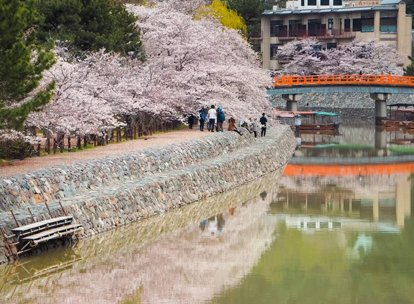 Uji City Kyoto Japan April 2017 Människors Resten Uji Floden — Stockfoto