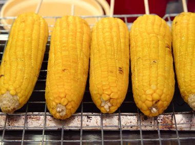 Koçanda organik ızgara mısır ya da ızgara ızgara yemeye hazır. Kapat ve seçici odaklan. 