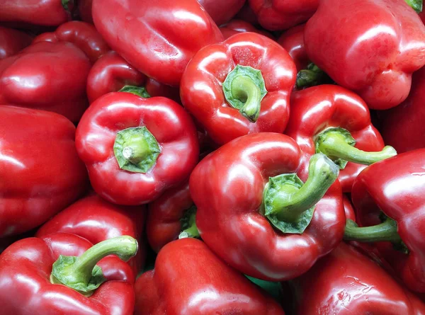Fresh red paprika peppers farm harvest. Sweet red peppers capsicum background. Harvesting.
