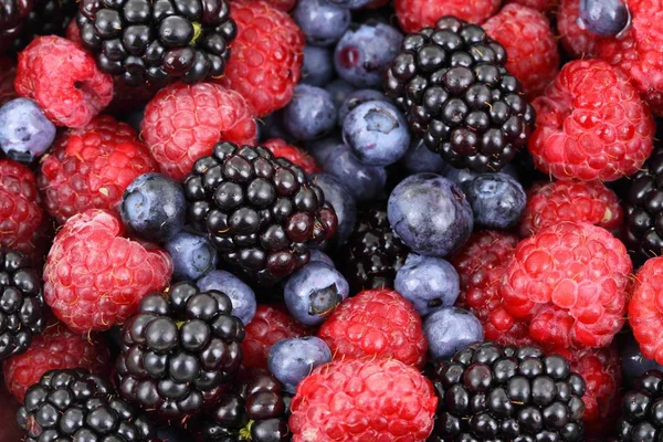 Various berries background - Stock Image