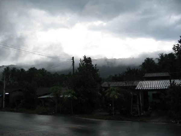 Утренний Туман Фотография Утра Сельской Местности — стоковое фото