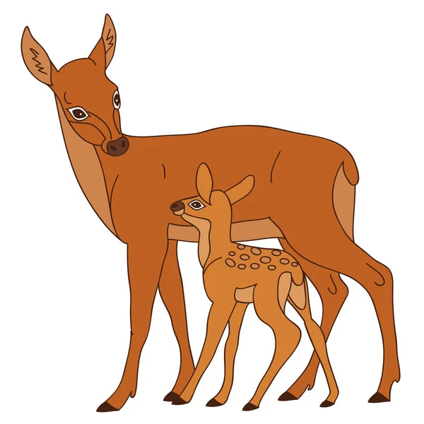Vector rådjur med Baby Deer — Stock vektor