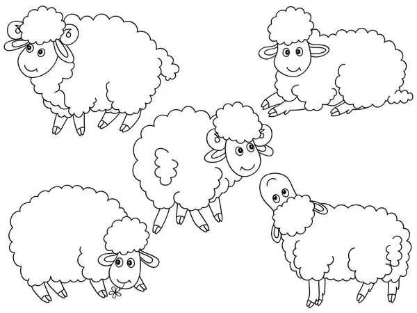 Koyun set vektör — Stok Vektör