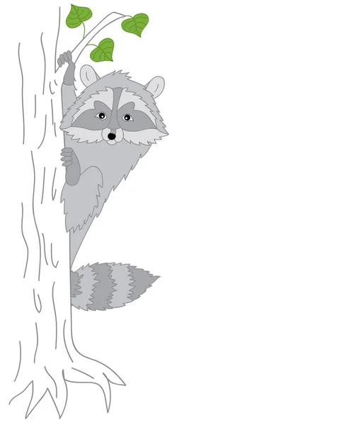 ベクトルかわいいタヌキあらいくま素材の木に座っています。 — ストックベクタ
