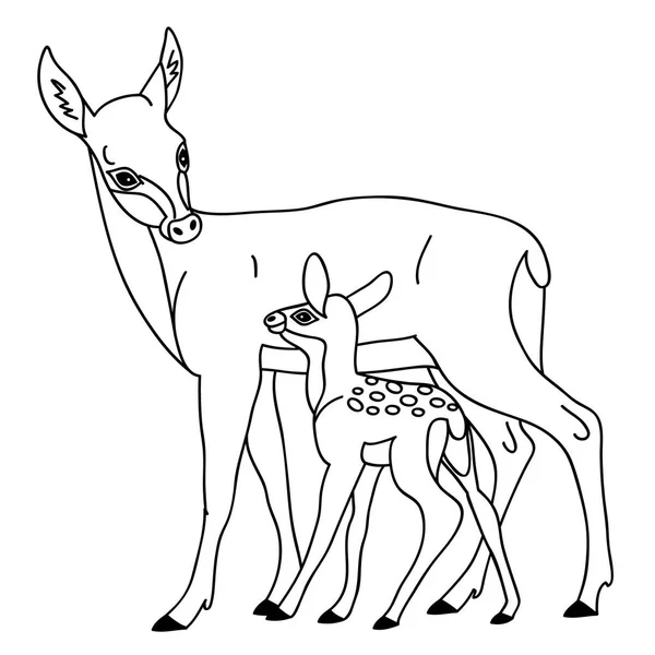 Vector rådjur med Baby Deer — Stock vektor