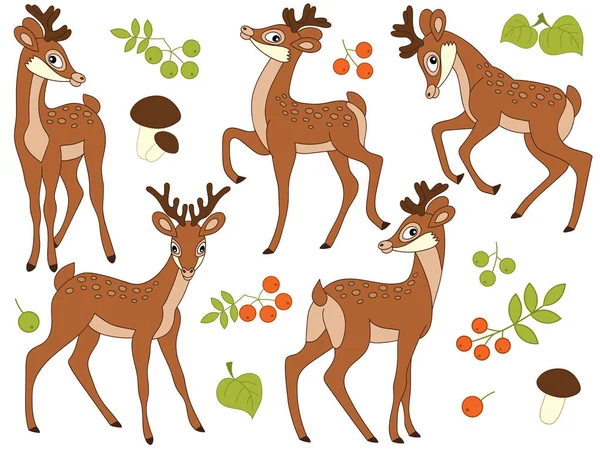 Vector Forest Deers Set. Deers Clipart Vector Illustration. — Stock Vector
