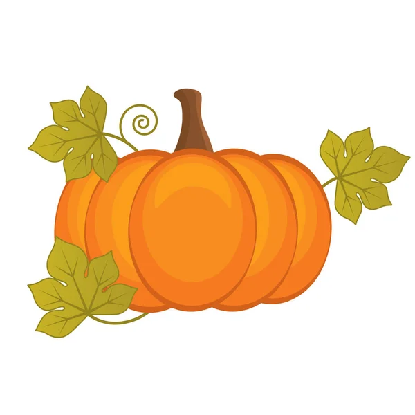 Zucca vettoriale. Halloween vettoriale e giorno del Ringraziamento. Illustrazione vettoriale della zucca . — Vettoriale Stock