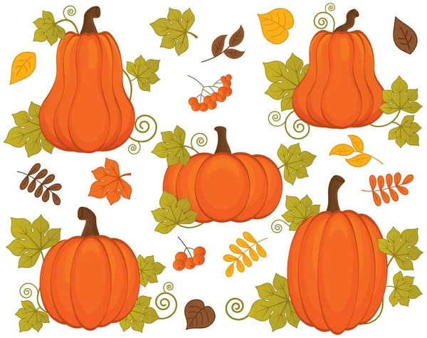 Set vettoriale con zucche, bacche e foglie. Halloween vettoriale e giorno del Ringraziamento. Illustrazione vettoriale della zucca . — Vettoriale Stock