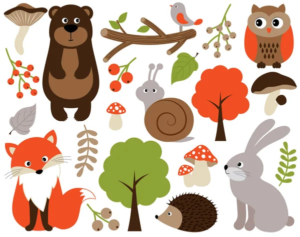 Vector Forest Animals Set. Vector Woodland Animals. Forest Animals Vector Illustration. — Stock Vector