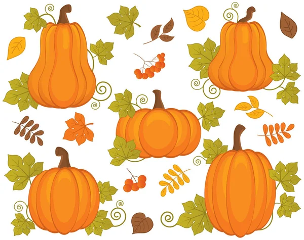 Vector Set with Pumpkins, Berries and Leaves. Vector Halloween and Thanksgiving Day. Pumpkin Vector Illustration. — Stock Vector