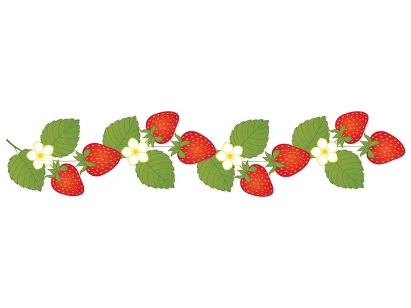 Διάνυσμα φράουλες με λουλούδια. Διάνυσμα φράουλα. — Διανυσματικό Αρχείο